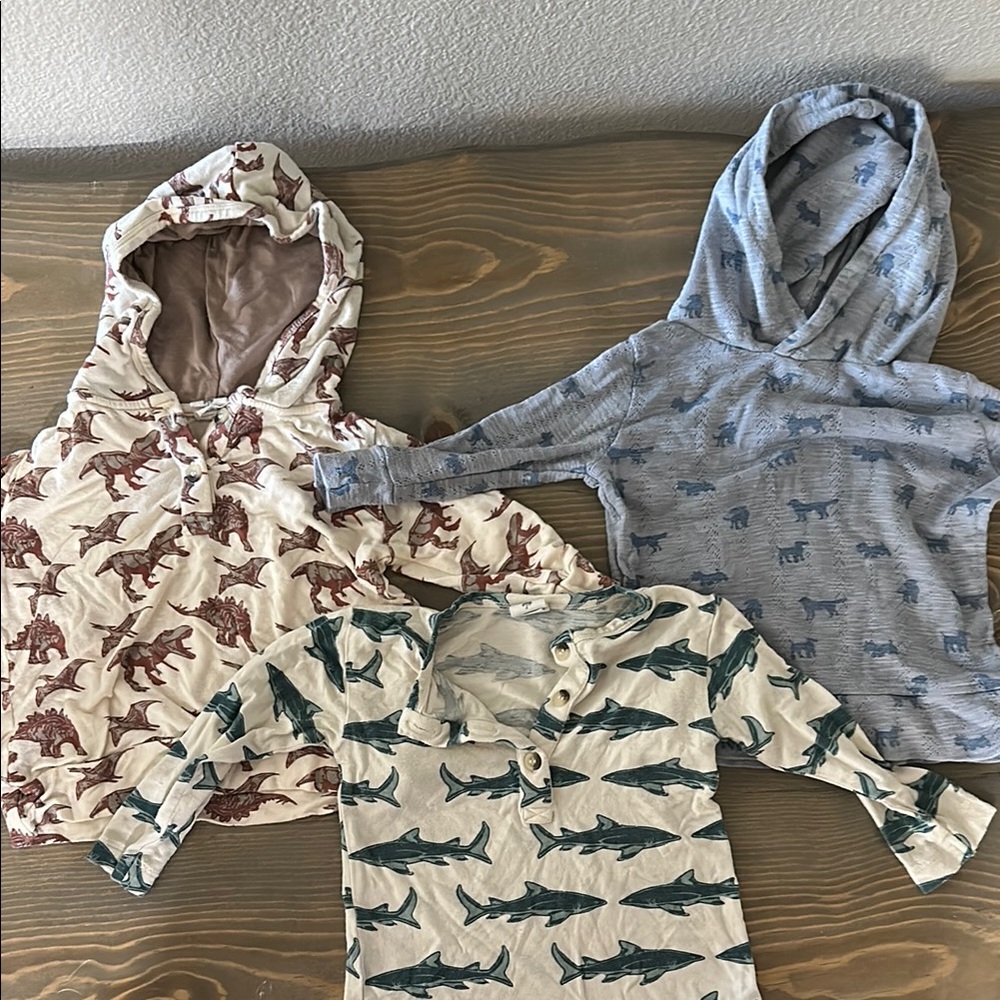 Kate Quinn Long Sleeves 12-18 months - Lot of 3